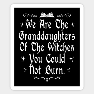 We Are The Granddaughters Of The Witches You Could Not Burn Magnet